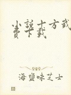 小说十方武神免费下载