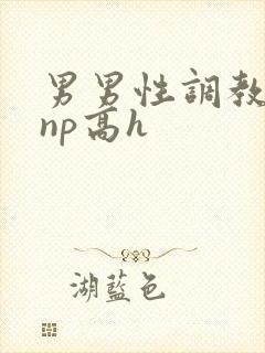 男男性调教小说np高h