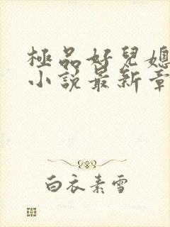 极品好儿媳苏暖小说最新章节更新