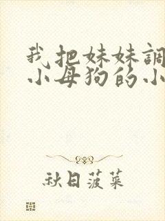 我把妹妹调教成小母狗的小说