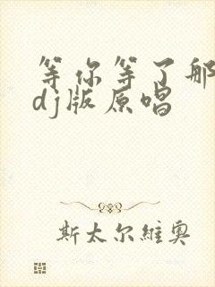 等你等了那么久dj版原唱