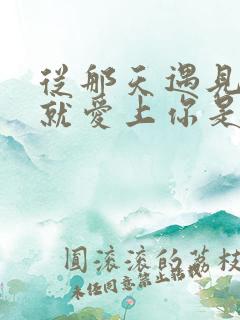 从那天遇见你我就爱上你是什么歌