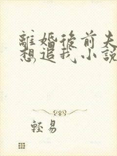 离婚后前夫总是想追我小说无弹窗