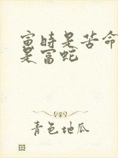 寅时是苦命蛇还是富蛇