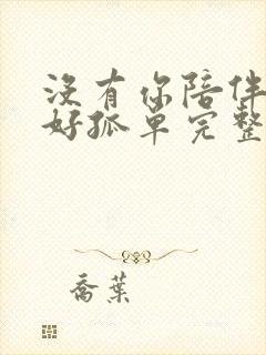 没有你陪伴真的好孤单完整版歌词