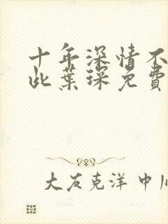 十年深情不过如此叶琛免费阅读