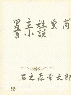 男主姓皇甫的所有小说