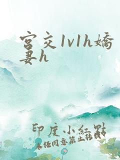 宫交1v1h娇妻h