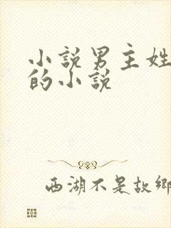 小说男主姓欧阳的小说