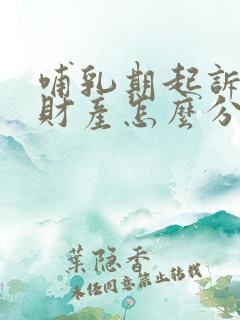 哺乳期起诉离婚财产怎么分割