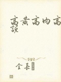 高黄高肉高h小说