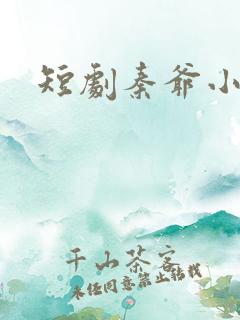 短剧秦爷小哑巴