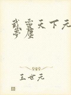 武灵天下元枫云梦尘