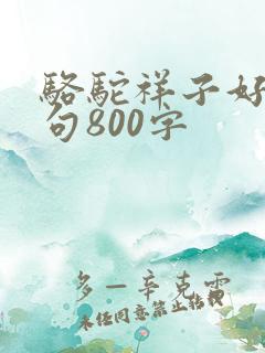 骆驼祥子好词好句800字