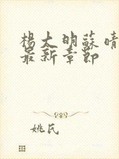 杨大明苏晴小说最新章节