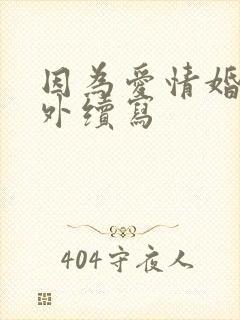 因为爱情婚后番外续写