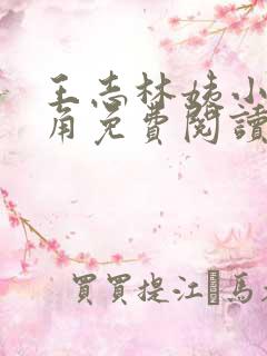 王志林姨小说主角免费阅读正版