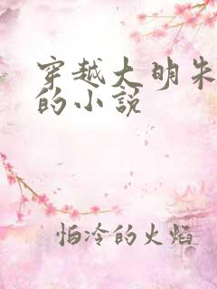 穿越大明朱祁钰的小说