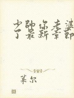 少帅你老婆又跑了最新章节列表