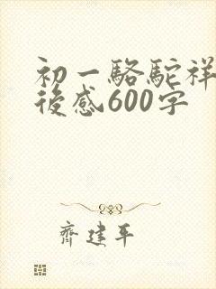 初一骆驼祥子读后感600字