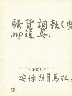 骚货调教(双性,np道具,