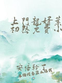 上门龙婿叶辰萧初然免费小说