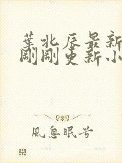 叶北辰最新章节刚刚更新小说全文阅读