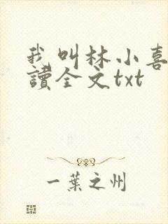 我叫林小喜全阅读全文txt