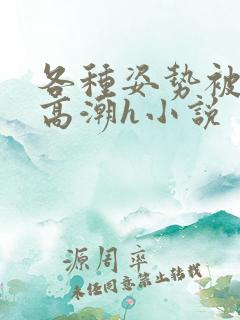 各种姿势被脔到高潮h小说