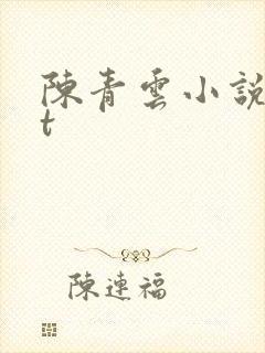陈青云小说txt