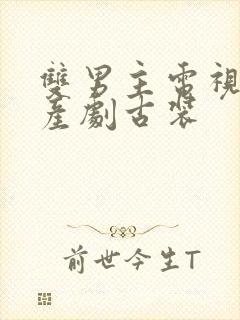 双男主电视剧国产剧古装