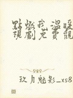 点燃我温暖你电视剧免费观看不卡