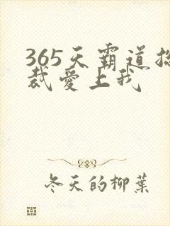 365天霸道总裁爱上我