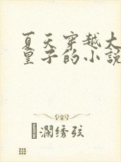 夏天穿越大夏九皇子的小说笔趣阁