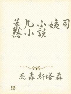 叶凡小姨司空嫣然小说