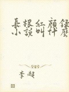 长根红颜录原著小说叫什么名字