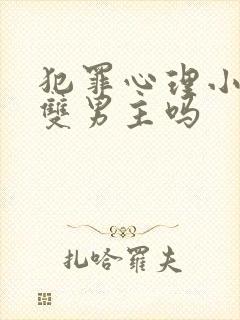 犯罪心理小说是双男主吗