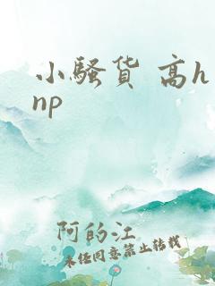 小骚货 高h np