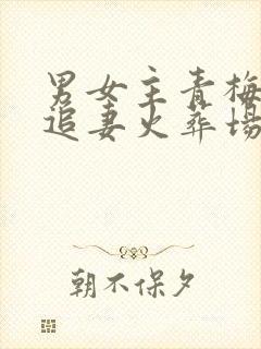 男女主青梅竹马追妻火葬场的甜文