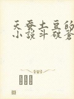 天蚕土豆的全部小说斗破苍穹