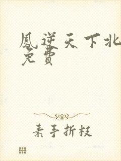 凤逆天下北月篇免费