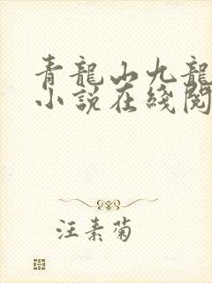 青龙山九龙拉棺小说在线阅读