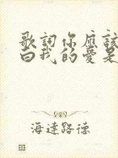 歌词你应该会明白我的爱是什么歌