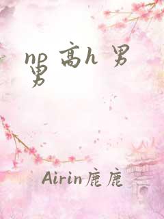 np 高h 男男