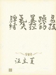 脾气暴躁易怒情绪失控的孩子