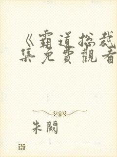 《霸道总裁》全集免费观看