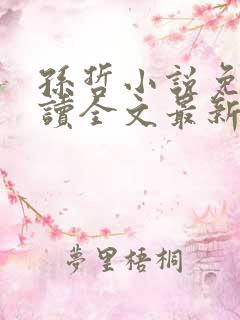 孙哲小说免费阅读全文最新章节