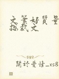 文笔好质量高的总裁文