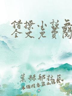 错撩小说无删减全文免费阅读