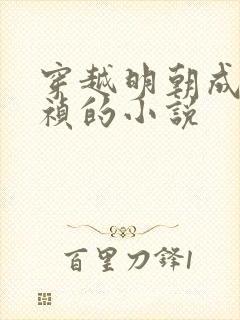 穿越明朝成为崇祯的小说